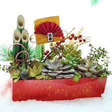 100均お正月雑貨プラスで長く楽しめる 多肉の正月飾り お正月 飾り お正月アレンジ ガーデニングのアイデア