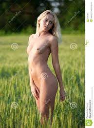 Girl in wheat field nude stock image. Image of nude, girl - 32957521