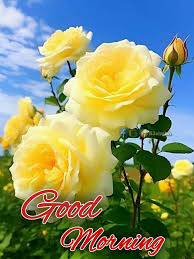 🌹Good Morning🌹Beautiful Flowers🌷 #83shubh👈☝👇