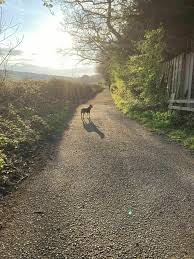 First opened on 19 october 1991. Kirklees Trail Greater Manchester England Alltrails