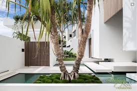 Large and small tree transplanting. Creating Street Appeal With Feature Trees Manawee Garden Centre