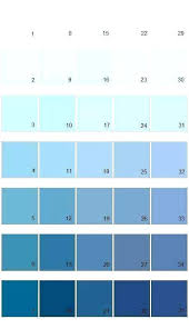 Blue Gray Paint Samples Grey Color Owl Complementary Colors