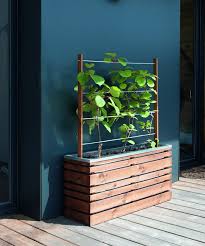 Bac Treillis Lign Z Bac Et Jardiniere Pots Bac Et Jardinieres Equipement Jardin Treillis Jardin Jardiniere En Bois Bac A Fleur Exterieur