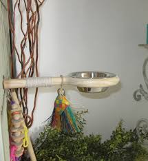 Bird Bath For Inside Cage Pin On Bird Toys