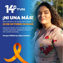 Image result for Justicia francoiseana