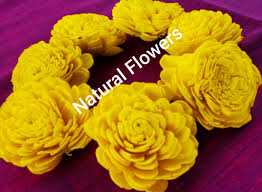 We did not find results for: Real Looking 12 Natural Light Weight Corn Yellow Marigold Flowers 43203 Buy Artificial Flowers Online