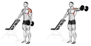 Famous physical therapists bob schrupp and brad heineck describe why you may have one shoulder higher than the other. I Have Uneven Shoulders If I Work Out My Shoulders Will They Become Even Quora