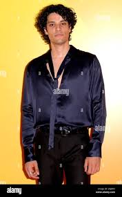 Image result for Berlinia giorgio