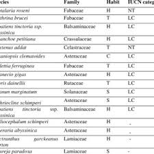 Image result for Achyrospermum schimperi