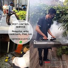 Prevent potential health problems from mosquito bites. Pest Control Service Canggu Umas Pest Control Company With Fast By Dika Saputra Medium