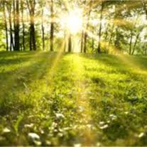 Gary D. Sutton Obituary March 31, 2017