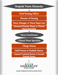 Nursing Hierarchy In A Hospital Hierarchy Structure