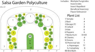 Polyculture Design Vegetable Garden Diy Garden Planning Layout Permaculture Design