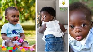 Les défis des pouponnières