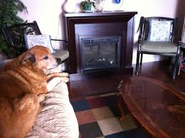 They are portable all around the house. The 3 Main Sources Of Home Heating Energy Vanguard