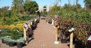 Garden Center Layout Garden Center Displays Plant Nursery Nursery Design Layout