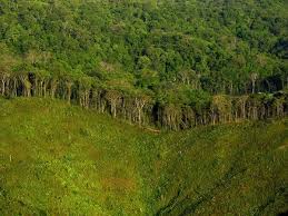 Deforestation And Its Effect On The Planet Deforestation Facts Deforestation Global Warming