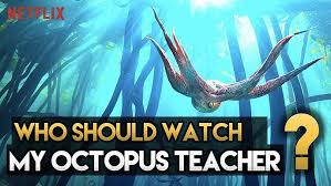Netflix has no shortage of those, obviously, but this one, the for more recaps, reviews and original features covering the world of entertainment, why not follow us on. My Octopus Teacher 2020 Review Who Will Like It Who Won T Like It Youtube