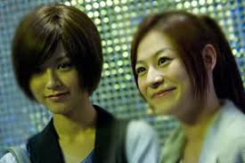 Basic Love (愛情故事)(2009)