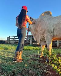 Já marca a mamãe de menino💙 . . #fyp #cowgirl #agroboy #country #fyyy  #botatexana #artigoscountry #7mboots #modacountry #agro #sertanejo #música  #modainfantil