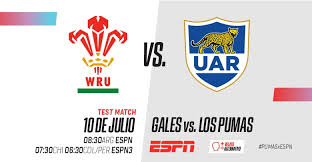 El equipo argentino de a poco está recuperando el ritmo de competencia.#lospumas #gales #highlightsel seleccionado argentino. Gales Vs Los Pumas Con Relato Alternativo Para Personas Con Discapacidad Visual Espn Press Room Latin America South