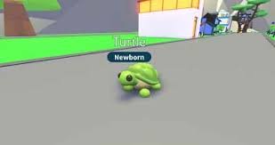 How To Get The Turtle In The Adopt Me Caffeinatedgamer A place for all adopt me fans to discuss trades. caffeinated gamer
