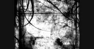 Dogs Barking Sound Effects Sound Dog Barking