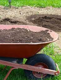 Nematodes and fungi that cause scabby skin patches on potatoes increase. 7 Simple Techniques To Improve Garden Soil
