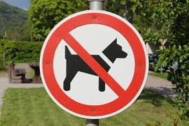 Ein erkenntliches verbot für hundekot oder für ein generelles verbot sind häufige motive. 68 Beste Hunde Verboten Bilder Stock Fotos Vektorgrafiken Adobe Stock