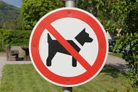 Mit unserem neuen ''hundekot verboten'' #schild stellen sie sicher, dass ihr grundstück frei von hundekot bleibt. 68 Beste Hunde Verboten Bilder Stock Fotos Vektorgrafiken Adobe Stock
