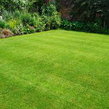 The cost of professionally maintaining your lawn depends on the services you want performed. Trugreen Lawn Care Review 2021 This Old House