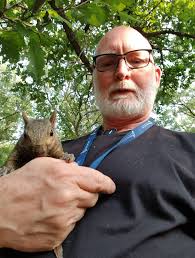 Visiting birds this spring