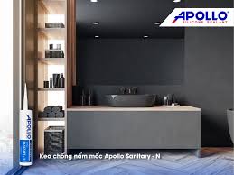 BẢO VỆ NHÀ TẮM SẠCH ĐẸP VỚI KEO SILICON CHỐNG NẤM MỐC APOLLO SANITARY - N