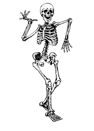 10 Minute Yoga Morning Routine For A Blissful Day Yogazini In 2021 Skeleton Drawings Skeleton Art Skeleton Tattoos