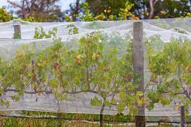 How to use bird netting. Bird Control Netting Bird Netting American Nettings And Fabrics