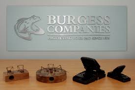 At all star pest control, our pest control services are more than just spraying. Burgess Pest Management Linkedin