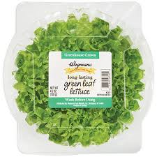 Image result for Lettuce Green 1977 Hussmann