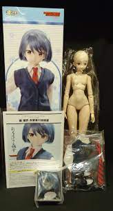 AZONE Doll 1/3 Tachibana Rui Hybrid Active figure No.065 Domestic  Girlfriend F/S | eBay