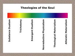 Image result for Thesium dissitum