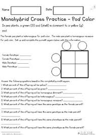 We did not find results for: Monohybrid Cross Punnett Square Practice Pod Color By Pirateprincessmommy