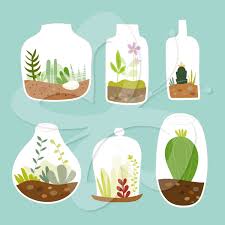 Terrarium Clip Art Clipart Set Commercial And Personal Use Art Clipart Clip Art Digital Clip Art Set