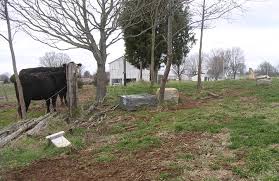 Larimore Cemetery, LeGrande, Hart Co., KY
