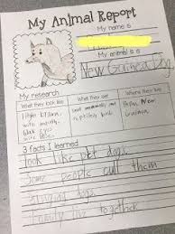 K 4 Animal Research Projects First Grade Writing Kindergarten Writing First Grade Science