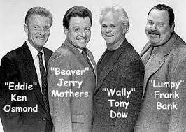 Pin By P Fun On People Leave It To Beaver Comedy Tv Classic Television