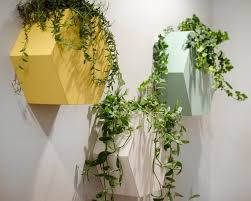 Le fioriere sono i contenitori ideali per piantare fiori e piante, dei le piante pendenti che ti. Piante Pendenti Da Appartamento