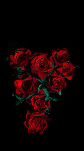 2,998 likes · 2 talking about this · 3 were here. Rose Wallpaper Hd Rose Flower Images For Free Pour Android Telechargez L Apk