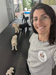 Free pet sitting exchange for accommodation in Sydney