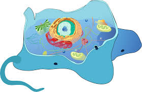 ØµÙØ±Ø© Ø°Ø§Øª ØµÙØ©