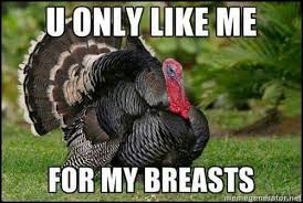 You Only Like Me For My Breasts Funny Turkey Pictures Funny Thanksgiving Memes Happy Thanksgiving Memes