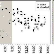 Image result for Alchemilla johnstonii